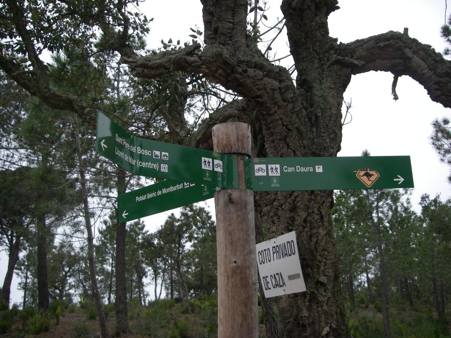 2009-04-12-041-Walk-Signposts