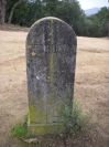 2009-04-12-042-Milestone