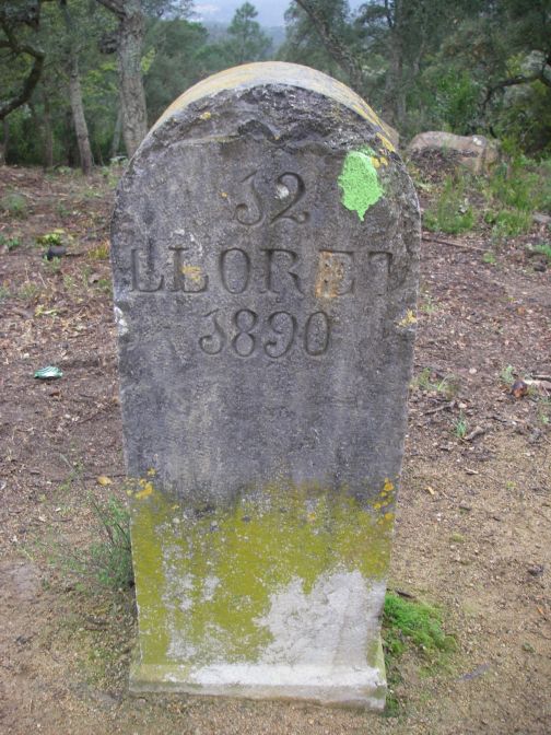 2009-04-12-043-Milestone