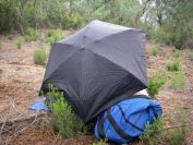 2009-04-12-048-Anne-in-the-Rain