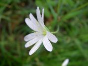 2009-04-12-066-Stichwort