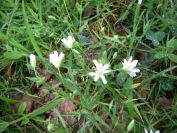 2009-04-12-067-Stichwort