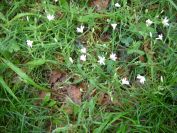 2009-04-12-068-Stichwort