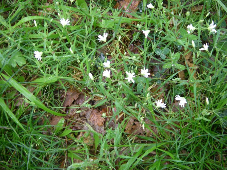 2009-04-12-068-Stichwort
