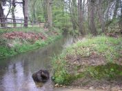 2009-04-12-070-Stream