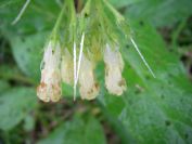 2009-04-12-073-Unknown