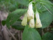 2009-04-12-075-Unknown