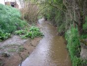 2009-04-12-077-Stream