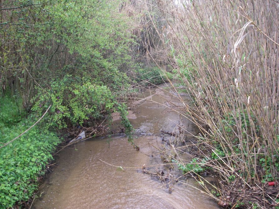 2009-04-12-080-Stream