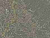 2009-04-13-000-Google-Earth