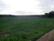 2009-04-13-005-View
