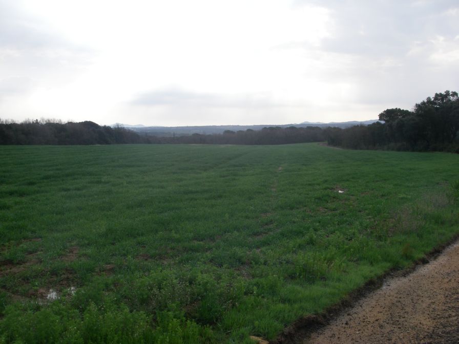 2009-04-13-005-View