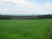 2009-04-13-008-View