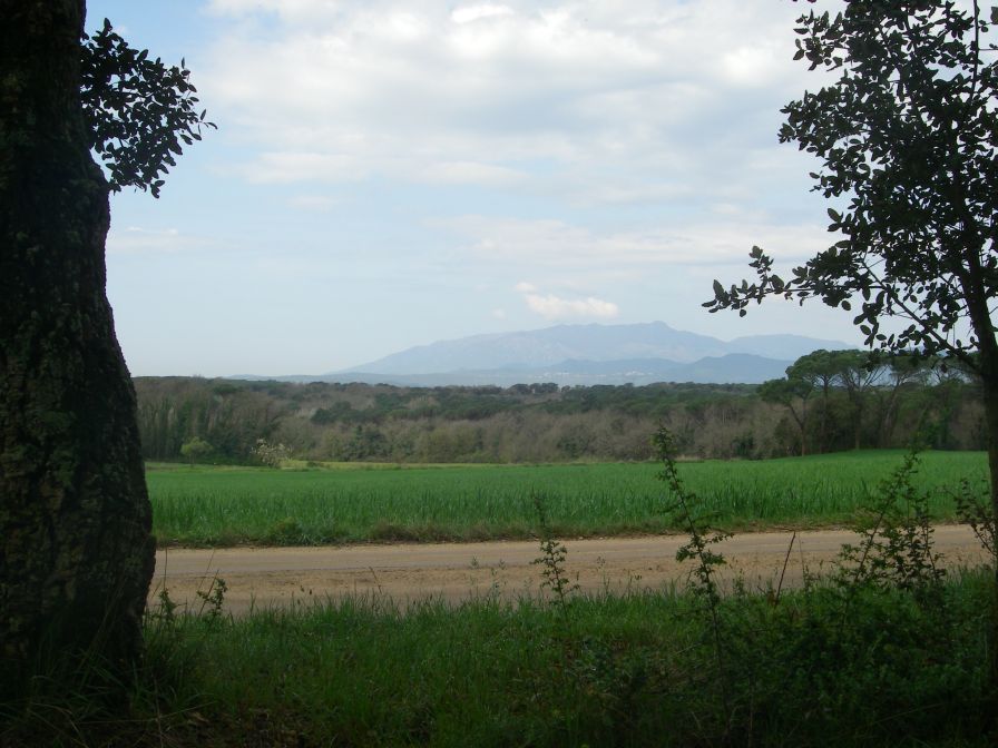 2009-04-13-009-View