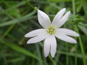 2009-04-13-035-Stichwort