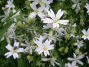 2009-04-13-038-Stichwort