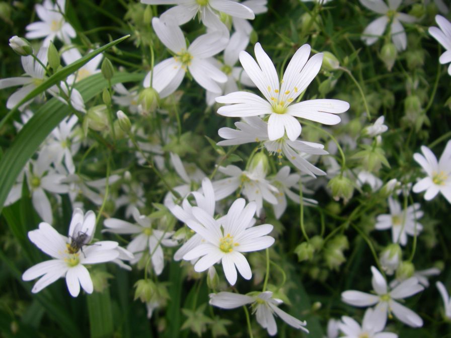 2009-04-13-038-Stichwort