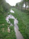 2009-04-13-045-Stream