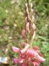 2009-04-13-058-Unknown