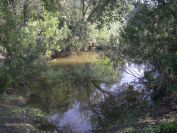 2009-04-14-011-Pond-up-Mountain