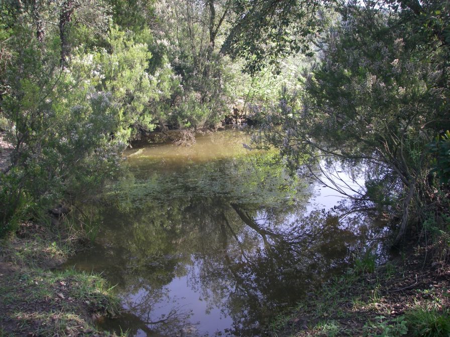 2009-04-14-011-Pond-up-Mountain