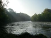 2009-04-15-012-El-Ter