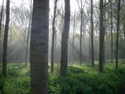 2009-04-15-014-Valley-of-El-Ter