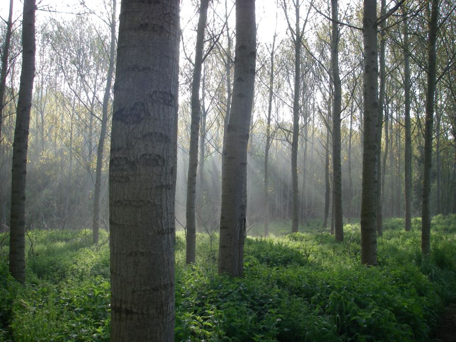 2009-04-15-014-Valley-of-El-Ter