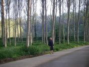 2009-04-15-015-Valley-of-El-Ter