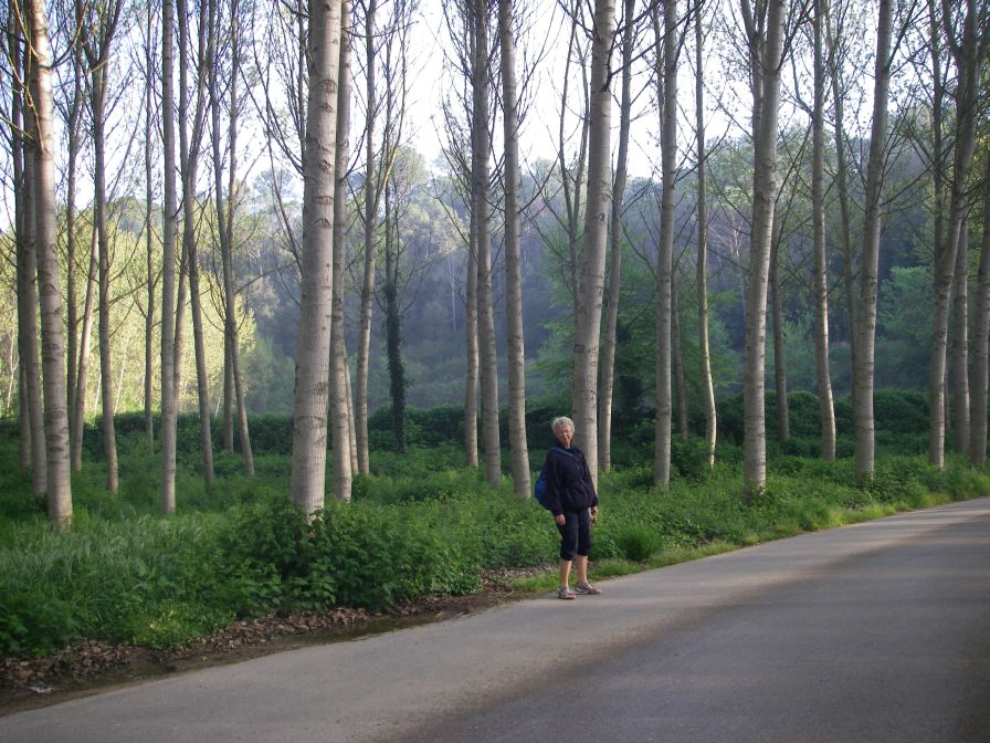 2009-04-15-015-Valley-of-El-Ter