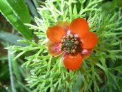 2009-04-15-023-Unknown
