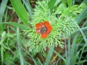 2009-04-15-024-Unknown