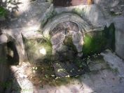 2009-04-16-023-Spring