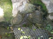 2009-04-16-024-Spring