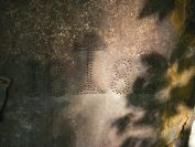 2009-04-16-026-Spring