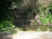 2009-04-16-029-Stream