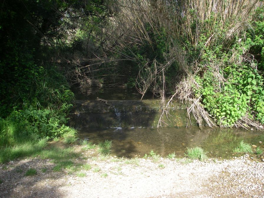 2009-04-16-029-Stream