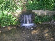 2009-04-16-030-Stream