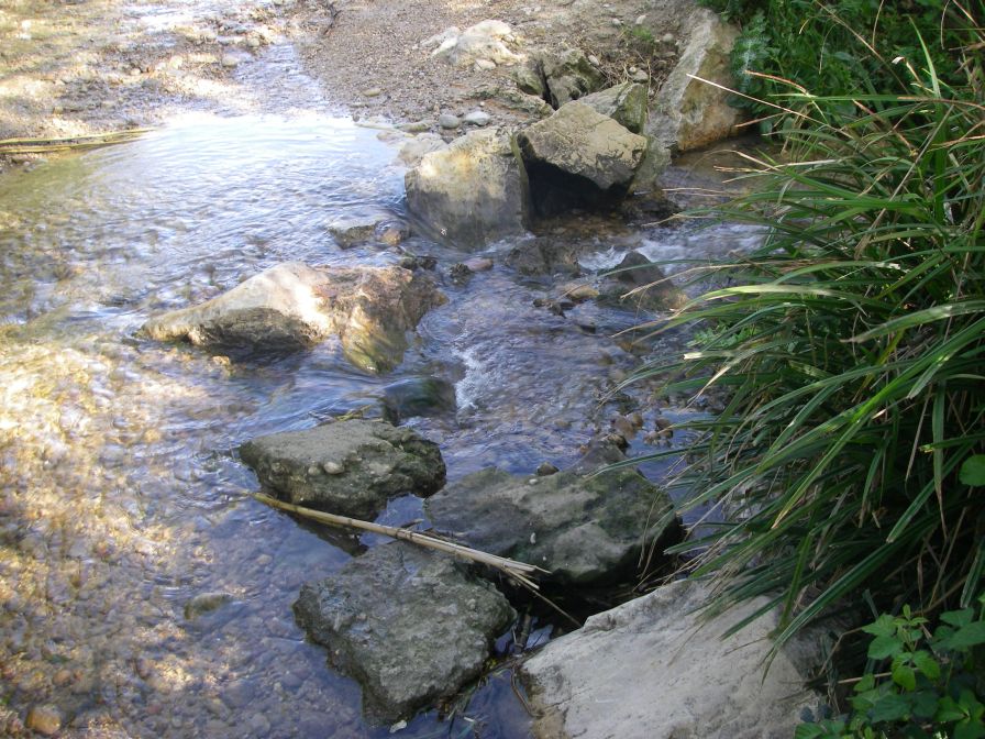 2009-04-16-031-Stream