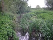 2009-04-16-047-Stream