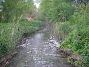 2009-04-16-048-Stream