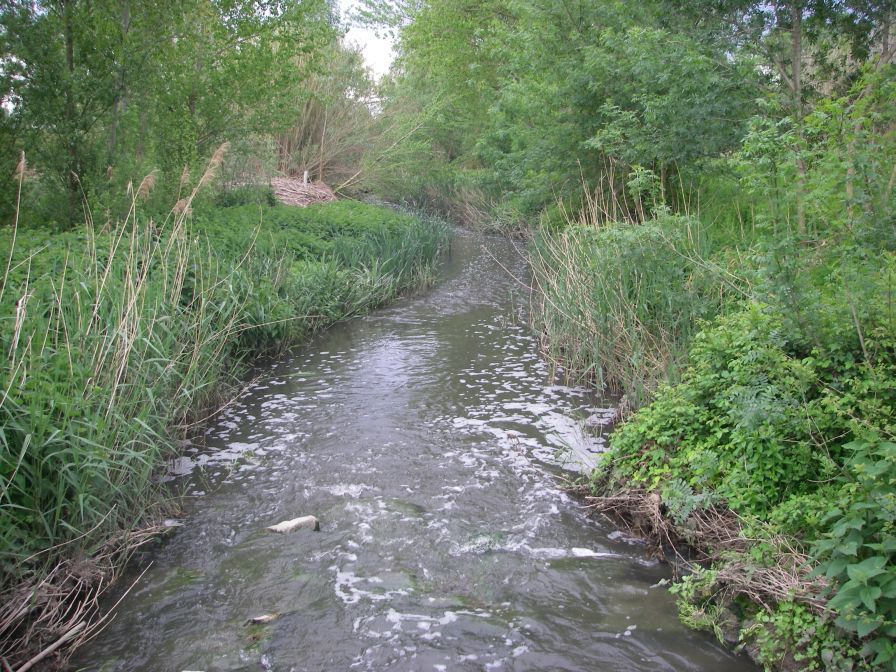2009-04-16-048-Stream