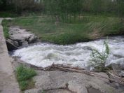 2009-04-16-049-Stream