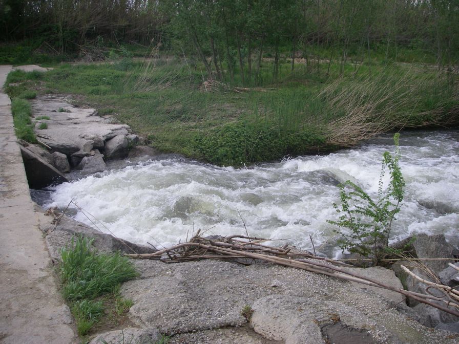 2009-04-16-049-Stream