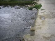 2009-04-16-050-Stream