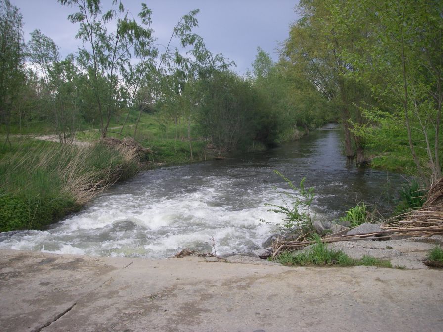 2009-04-16-051-Stream