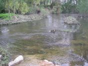 2009-04-16-052-Stream