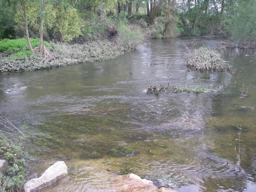 2009-04-16-052-Stream