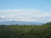 2009-04-17-027-Mountain-View