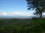 2009-04-17-028-Mountain-View